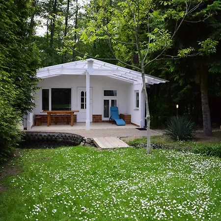 Am Wockersee In * Parchim
